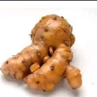 

Temulawak segar fres/ Temulawak kuning 1 kg