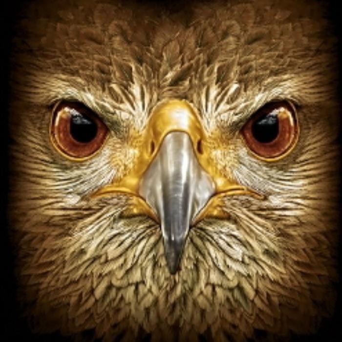 T shirt / kaos glow in the dark 3 dimensi BURUNG ELANG EAGLE OWL - XS by Havana Petshop