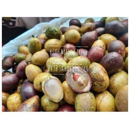 

BUAH MATOA FRESH RASA DURIAN 500gr
