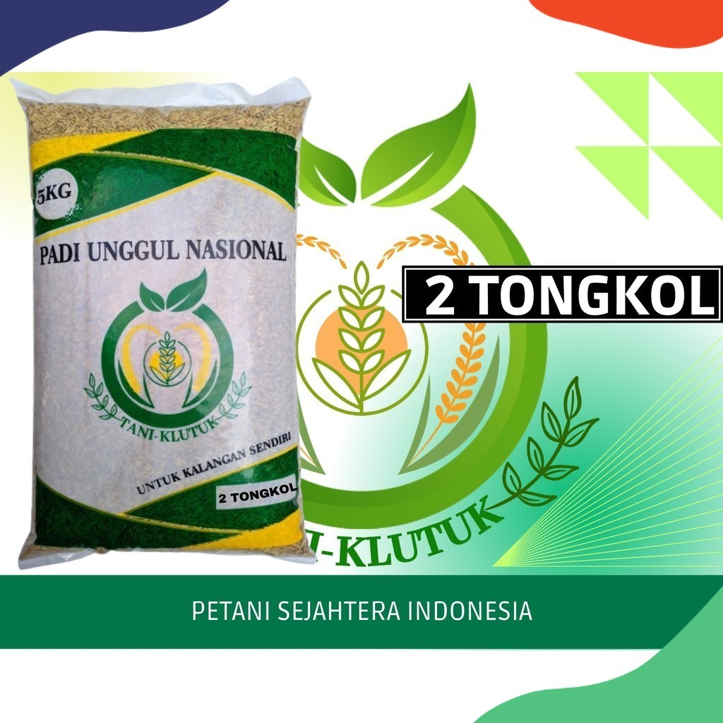 bibit biji Padi Tongkol 2 Kemasan 5kg original TANI KLUTUK