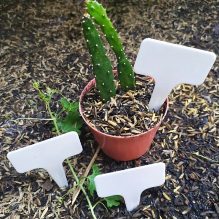 HOJI Putih White PVC Plant Label Name Tag Plastik Tanaman Hias Semai Benih Bibit Label Papan Nama Tu