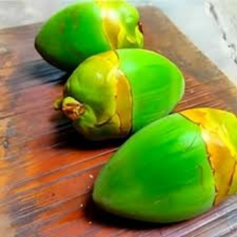 

Buah Beluluk / Biruluk / Biji Kelapa Muda { GOS } PER BIJI DUNIA HERBAL