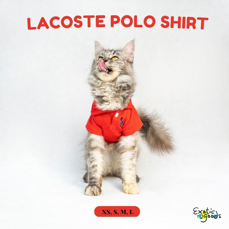 LACOSTE POLO SHIRT BAJU ANJING BAJU KUCING DRESS ANJING DRESS KUCING BAJU PESTA ANJING BAJU PESTA
