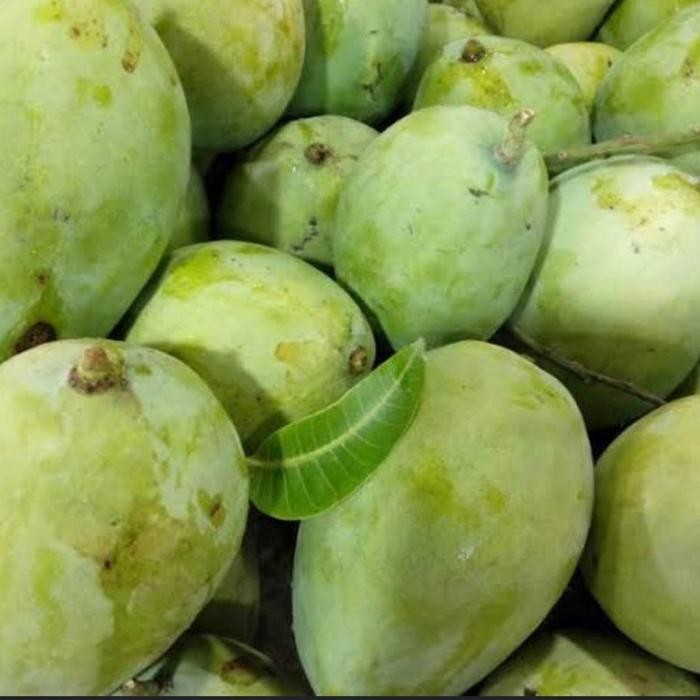 

Mangga Indramayu 500gr