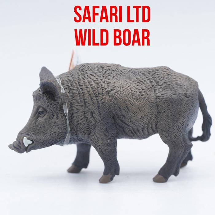 Safari Ltd Wild Boar Babi Hutan Sus Scrofa Mainan Action Figure Figurine Binatang Miniature Pajangan
