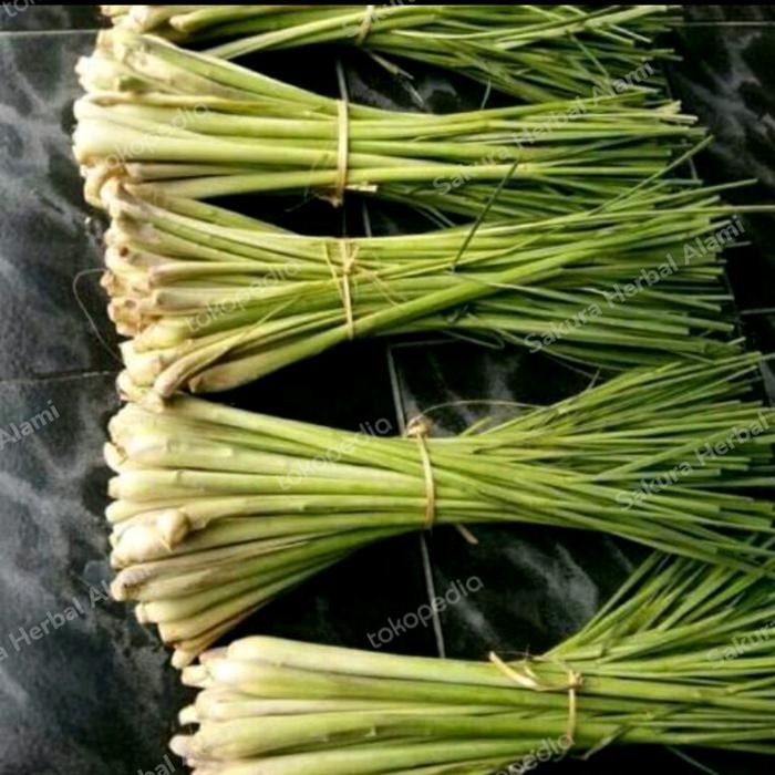 

promo serei sayur / sereh sayur 100gram bumbu masak ready
