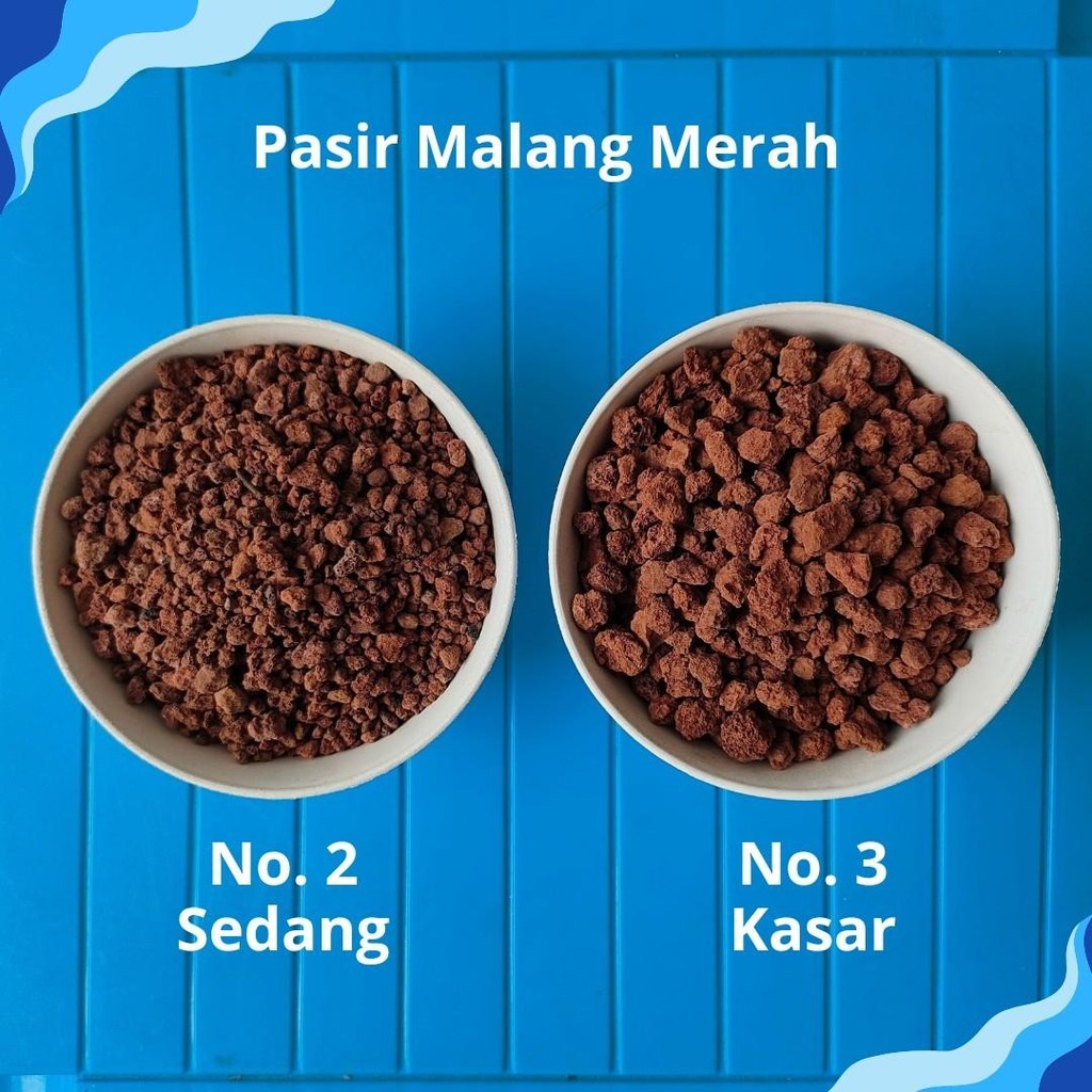 Pasir Malang Merah 1Kg Media Tanam Hiasan Aquarium Chana Glofish Mini Pond Kolam Mini guppy coklat