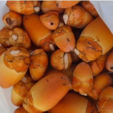 

Bluluk Kelapa Muda Segar – Buah Alami Kaya Manfaat untuk Kesehatan