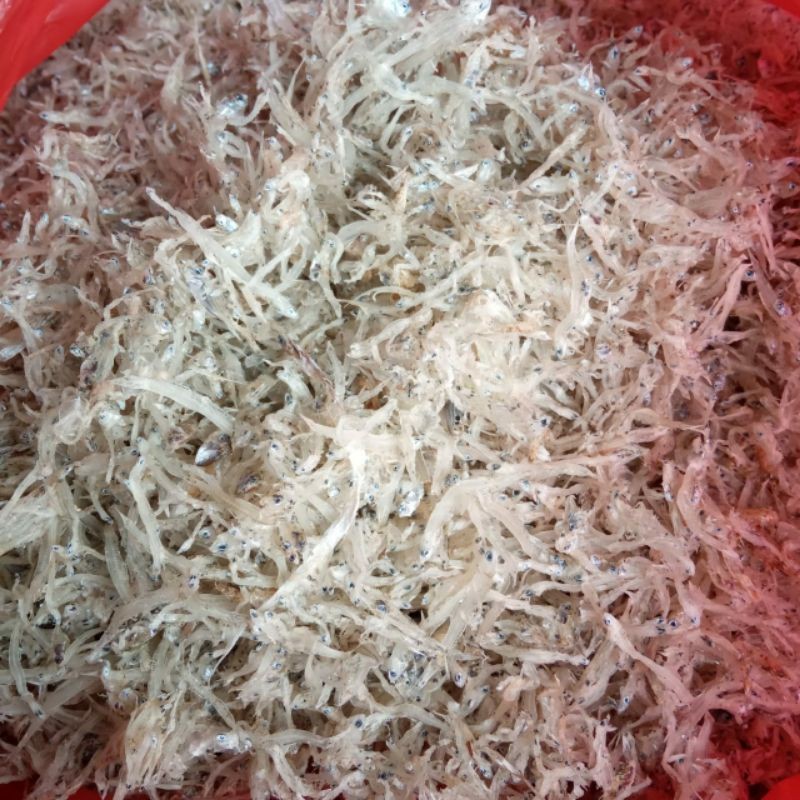 

Ikan Teri Nasi Kering Tawar 250 gram