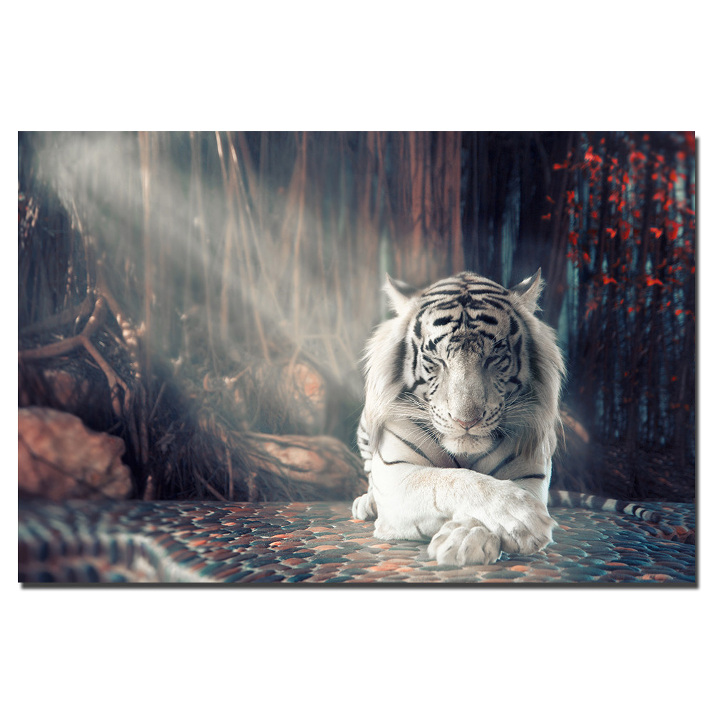 

White Tiger Poster Animal Canvas Painting Wall Art Pictures Print For Living Room Home Decor