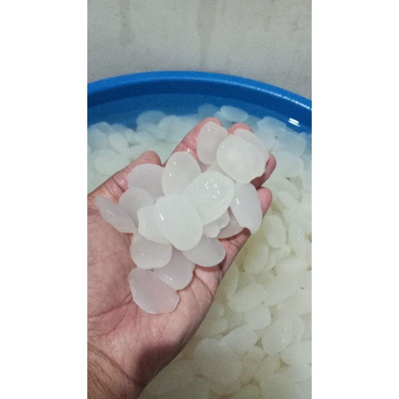 

BIG PROMO Kolang Kaling Asli Kenyal Putih Enak Siap Disajikan ready