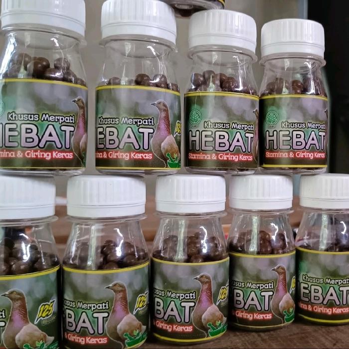 JAMU MERPATI GIRING KERAS "JAMU HEBAT"