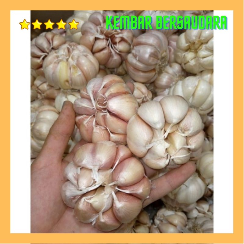 

BAWANG PUTIH SINCO SUPER PREMIUM PILIHAN BESAR 1KG
