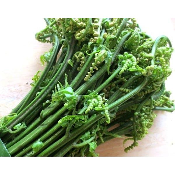 

Pakis Sayur Segar petik langsung dijamin fresh - 100 gram ready