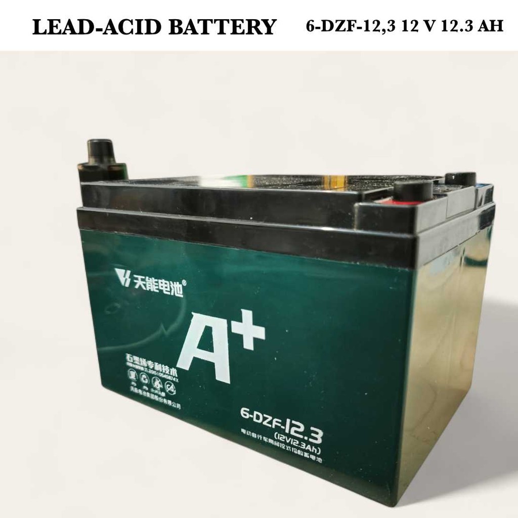 Tianneng Baterai Aki Accu Lead Acid Battery Electric Bike 12V 12.3 6-DZF-12.3