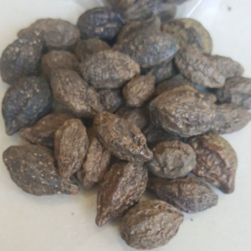 

MURAH Biji Jokeling/Mojokeling/Tempuyang 100gr