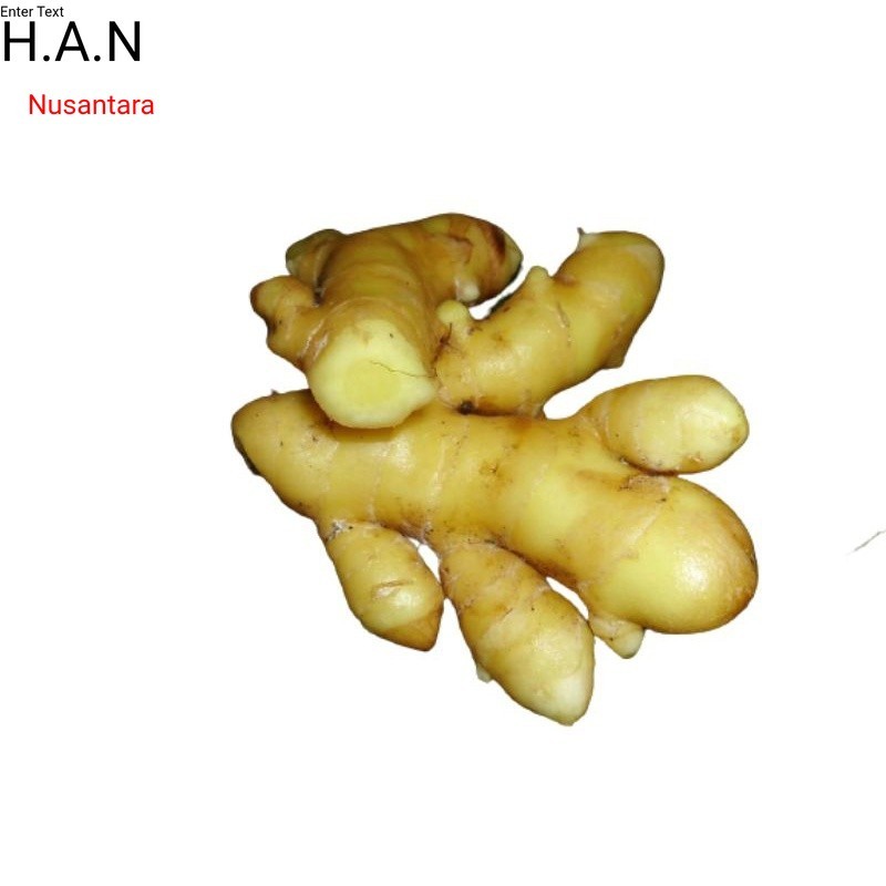 

Herbal Temu mangga/kunyit mangga 1kg basah segar organik