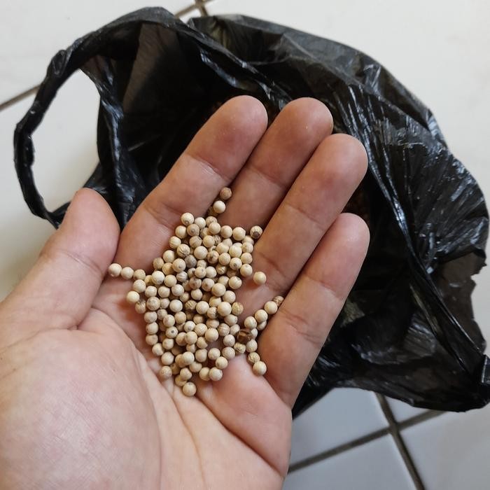 

Lada Putih Merica/Pedes 100 gram ready