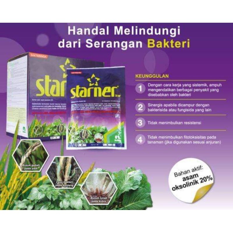 STARNER BAKTERISIDA 20 WP 100 GRCO