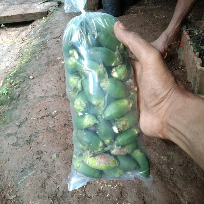 

Ready stok buah pinang ceming buah pinang / buah jambe muda