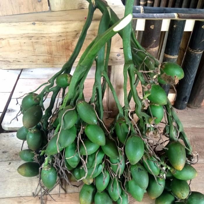 

Ready stok buah pinang ceming Ready stok buah pinang muda