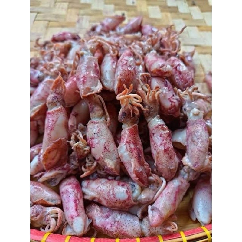 

cumi asin rebus size baby 1 kg