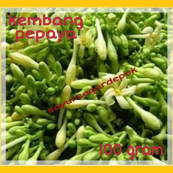 

Sahabatalam Kembang Pepaya / Bunga Pepaya / Sayuran 100gram KC