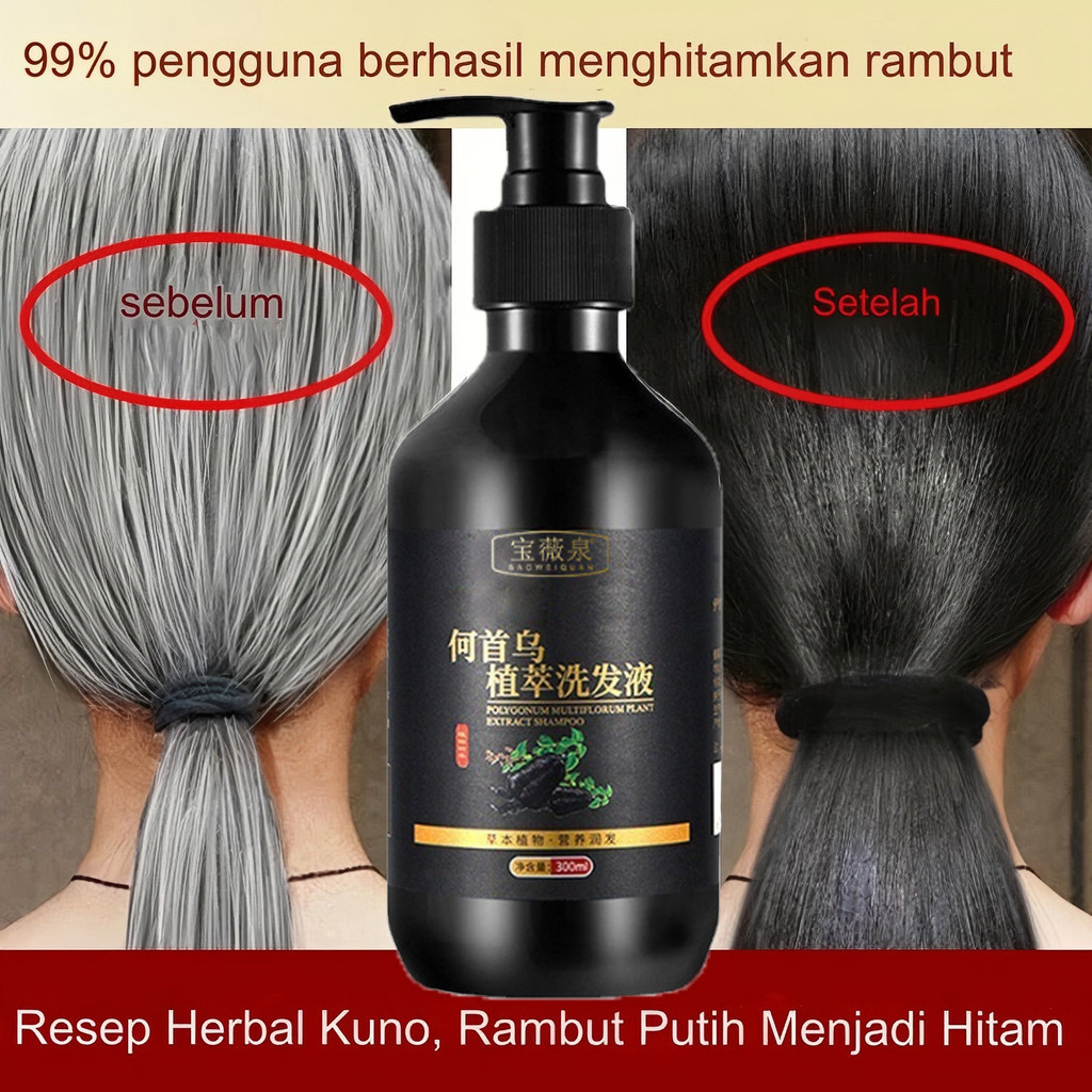 Sampo Penghilang Uban Shampoo Black Herbal Natural Polygonum Multiflorum Hair Blackening perawatan r