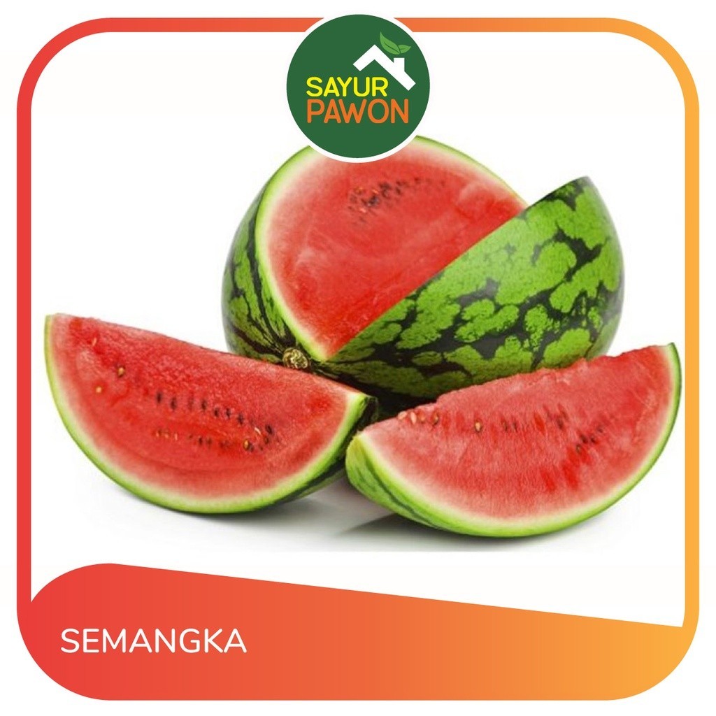 

SEMANGKA TANPA BIJI per buah [UTUH]