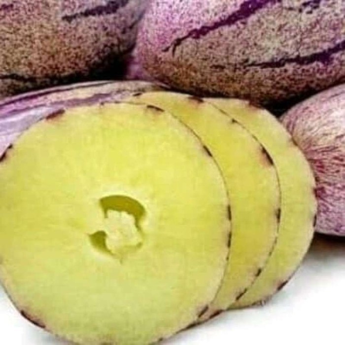 

Sale buah Pepino segar 2kg terjamin
