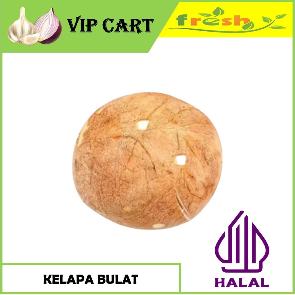 

KELAPA BULAT PER PC - VIP SAYUR