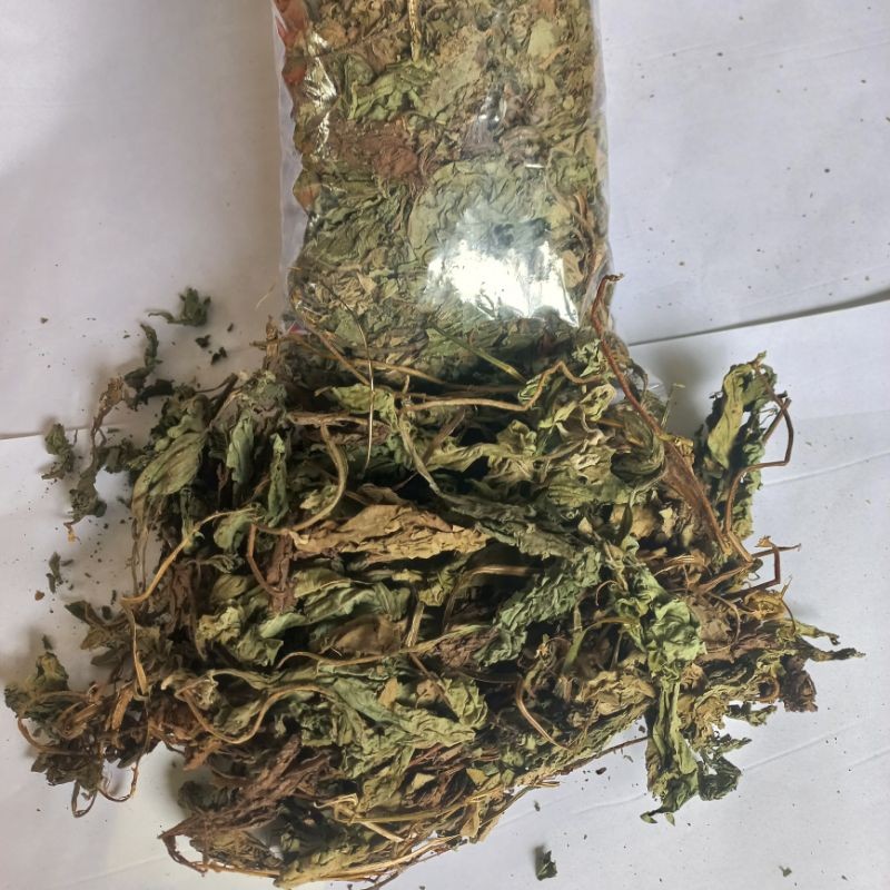 

MURAH Daun insulin kering 100gr