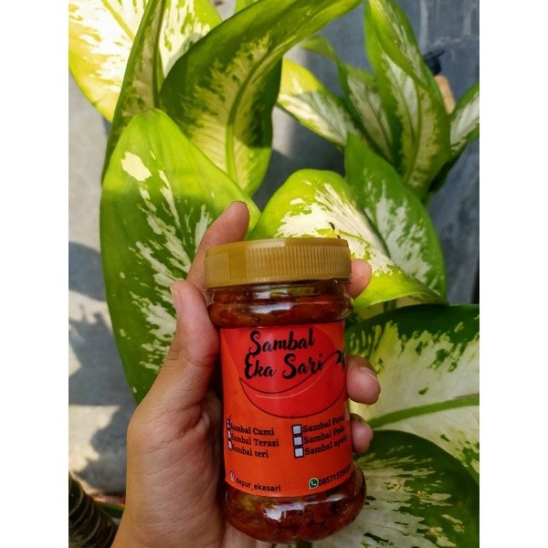 

Termurahsambal cumi / sambal peda / sambal teri / sambal pete/ sambal terasinew