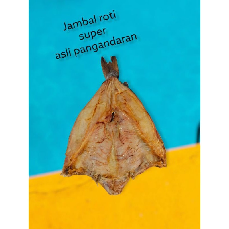 

Ikan Asin Jambal Roti Asli Super Pangandaran