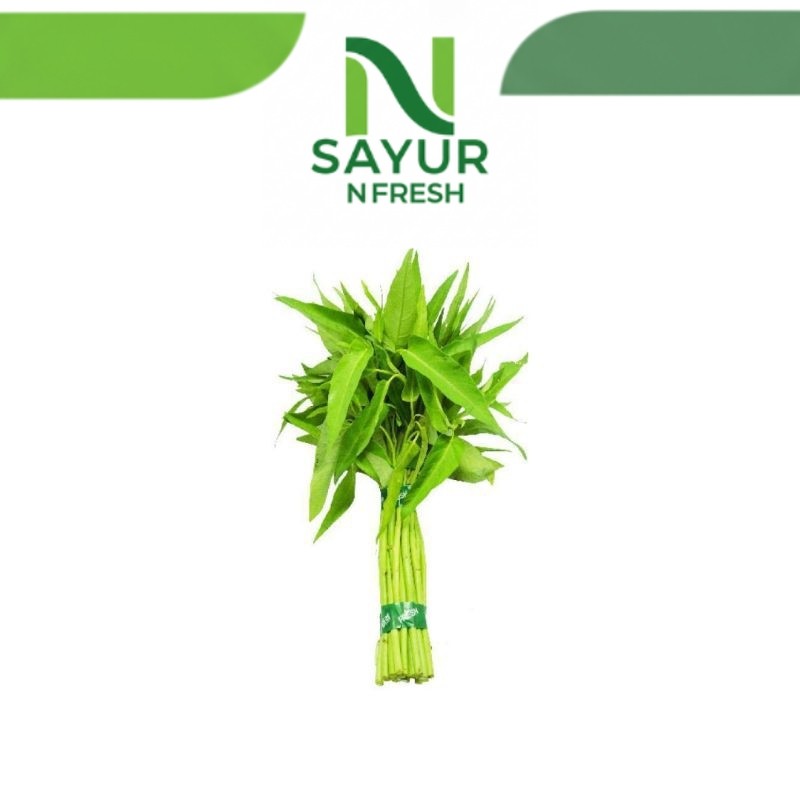 

KANGKUNG PILIHAN SORTIR TANPA AKAR