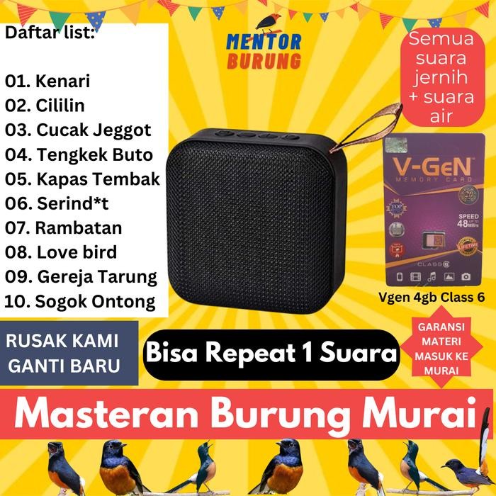 Speaker Masteran Mp3 Khusus Burung Murai Batu Air Betina Pikatan