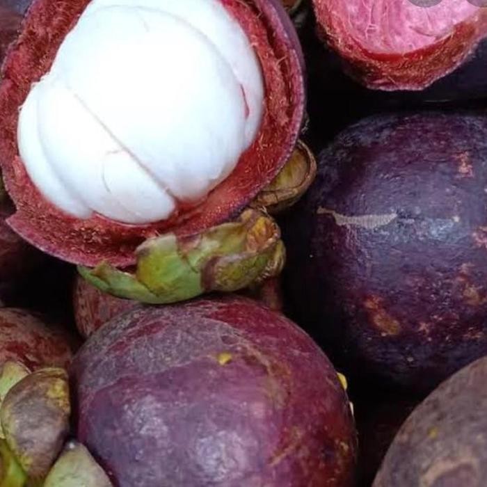 

Manggis Padang 500gr