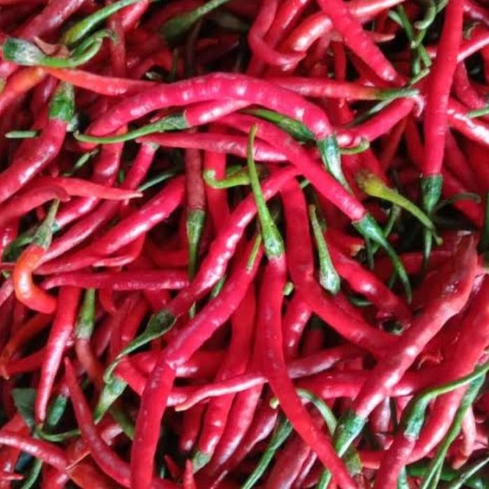 

Cabe Merah Keriting Super 100gr