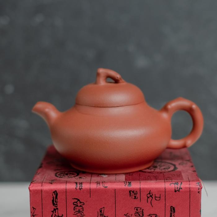 Chinese Teapot - Teapot Cina - Zi Sha Hu - Yi Xing Teapot -Clay Teapot