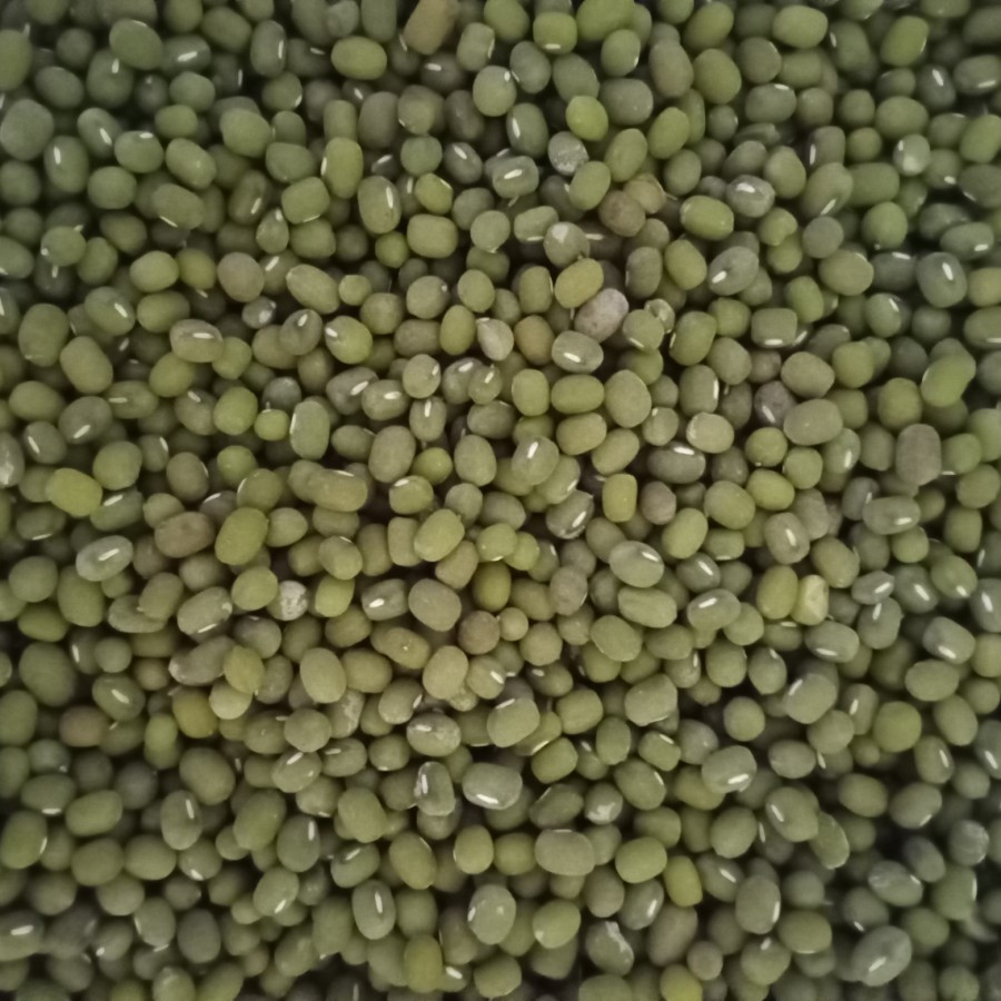 

Biji Kacang Hijau Mentah 500gr