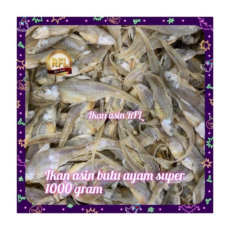 

ikan asin bulu ayam super 1000 gram murah