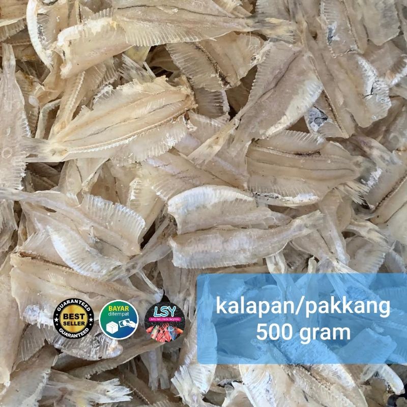 

Kalapan tawar / pakkang 500gram murah