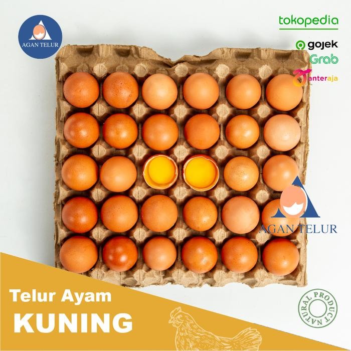 

f Z telur ayam negeri 30 butir / Tray