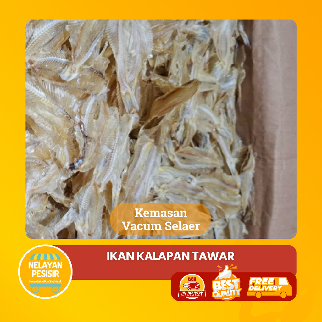 

Ikan Sutra Kalapan Kaca Asin Tawar Premium Kriuk Gurih dan Tahan Lama Siap Goreng