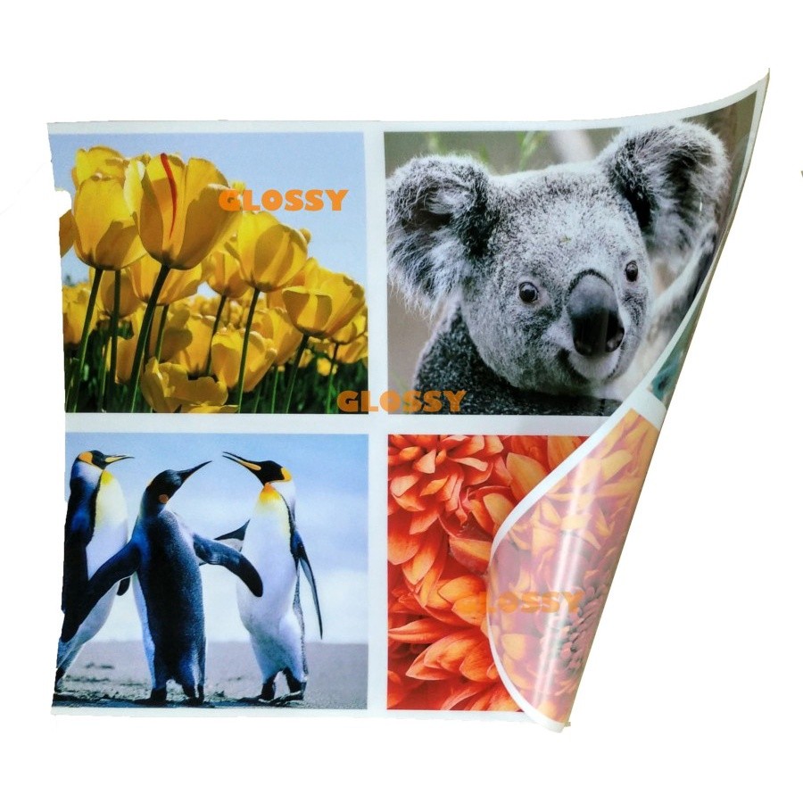 

BACKLIT FILM 150 gsm - REVERSE PRINT