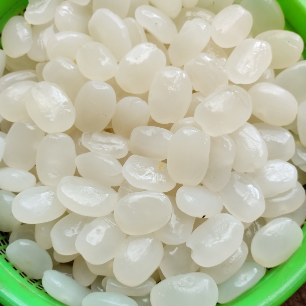 

Kolang Kaling Muda Tekstur Kenyal Lembut Ukuran Sedang Berat 1-30 KG