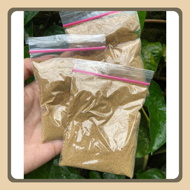 

Racikan Serbuk Jahe Putih Racing VIRAL!!