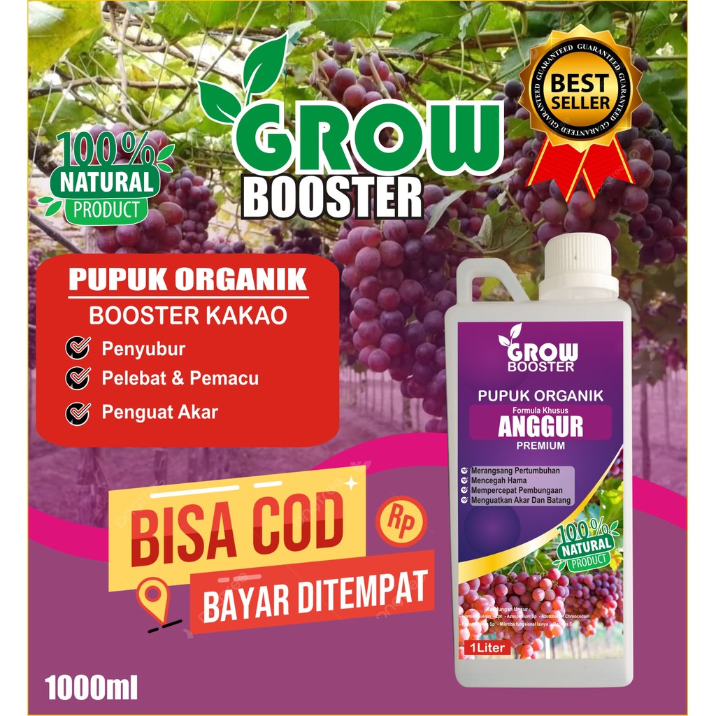 GROWBOOSTER - Pupuk Buah Anggur Kemasan 100ml | Pupuk Organik Cair Anggur | Pupuk Anggur