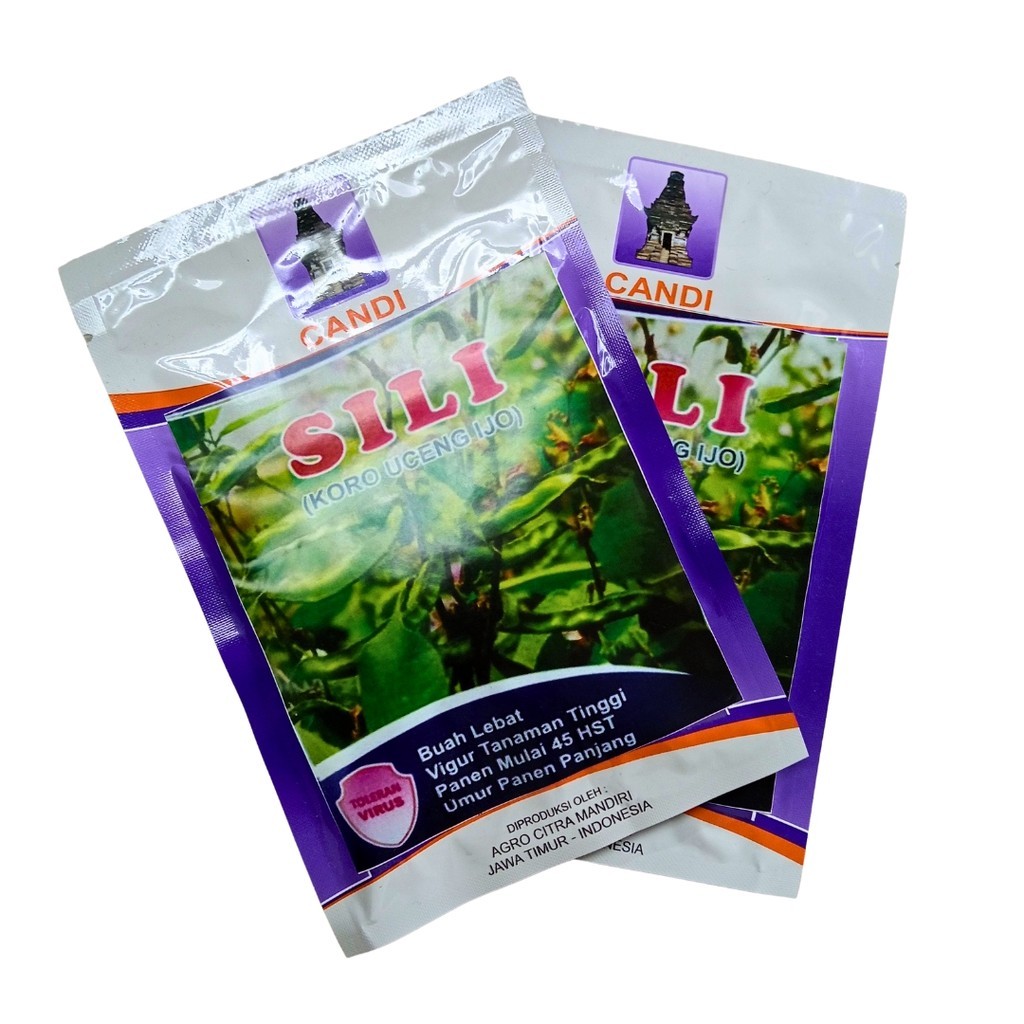 Benih Koro Uceng Ijo SILI 50gr Original Buah Pipih Hijau Muda