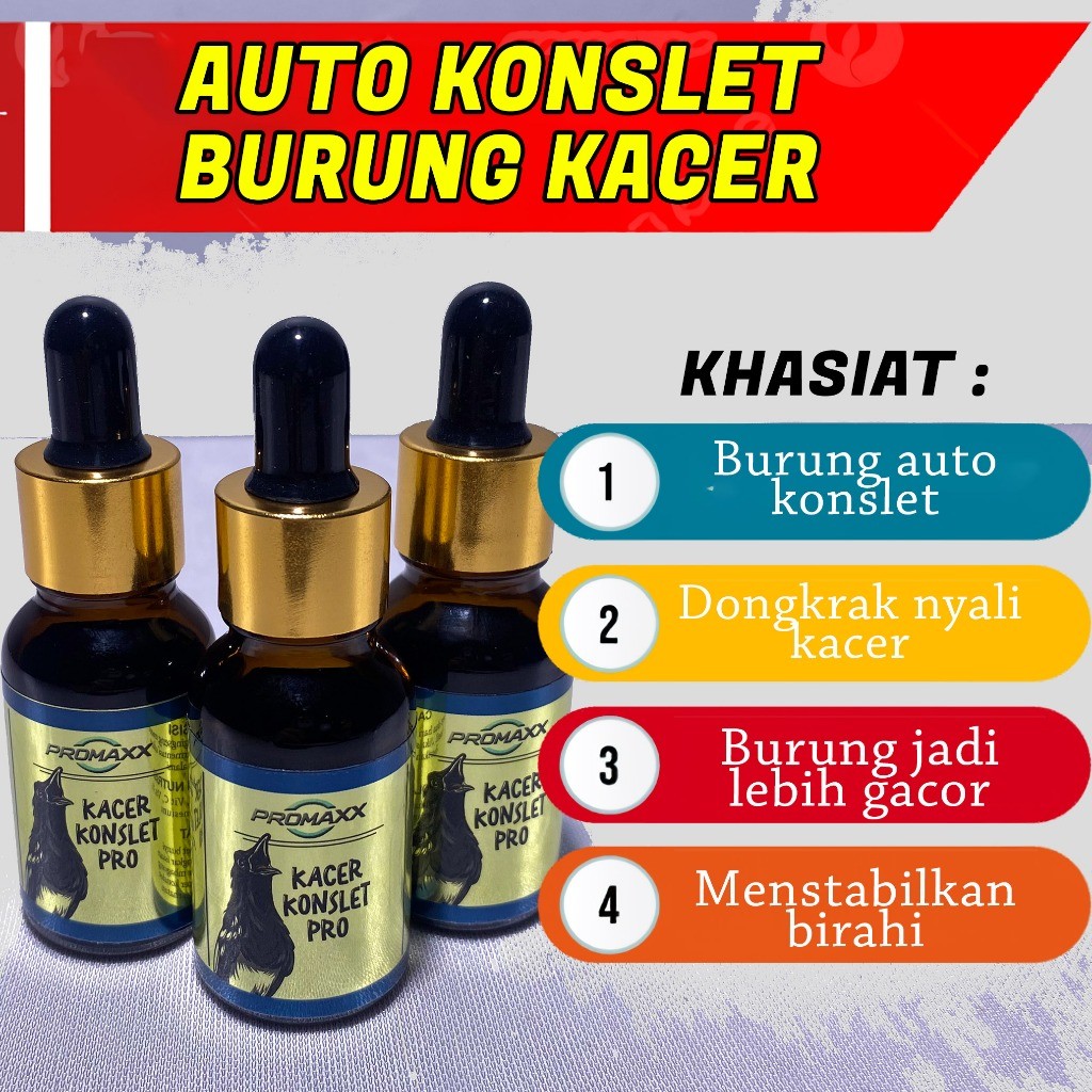 HOKI.id PENGGACOR PROMAXX KACER KONSLET PRO VITAMIN SUPLEMEN KACER AUTO KONSLET